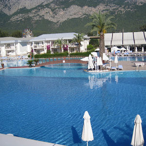 Meet your Posher, Niloofar